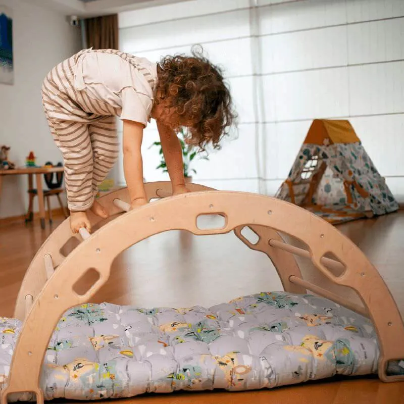 Climbing Arch / Rocker with Pillow
