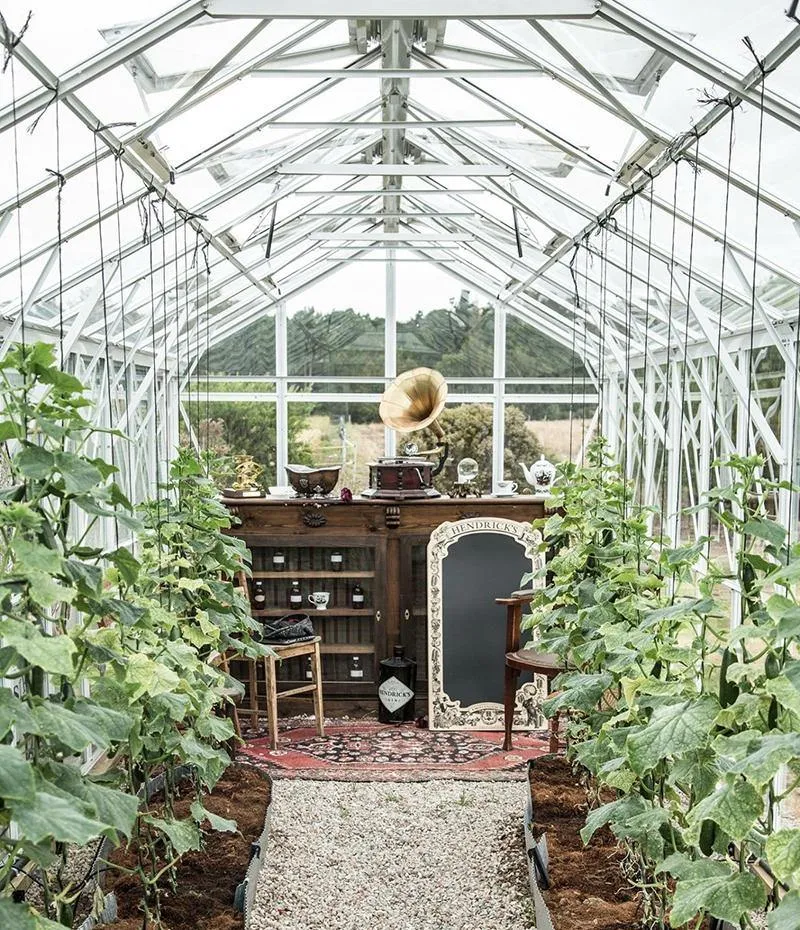 Imperial Glasshouse 4420 (4.4m x 2.6m)