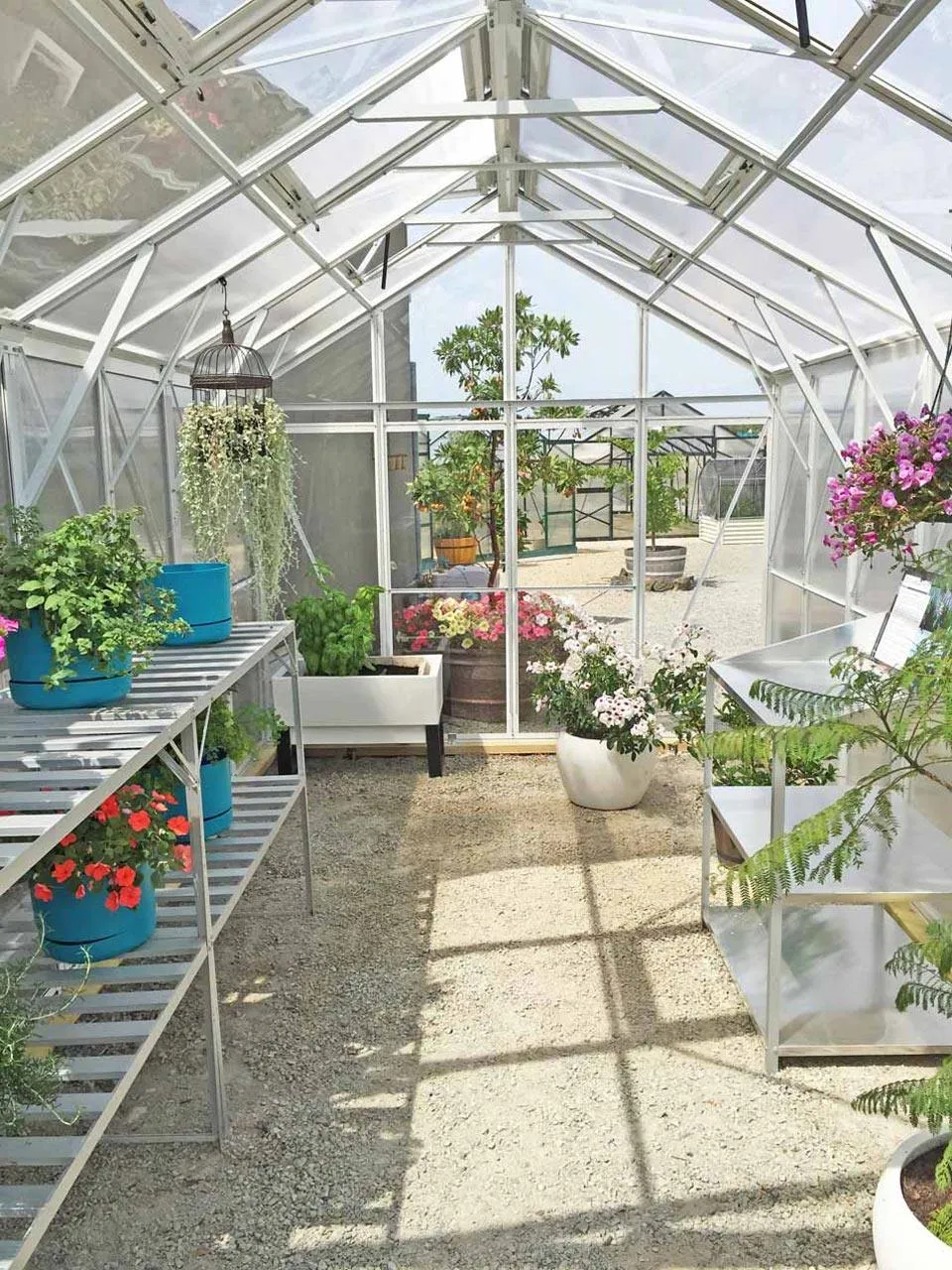 Imperial Glasshouse 5660 (5.6m x  2.6m)